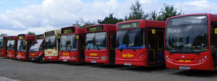 Red Rose Dennis Darts at Stone depot